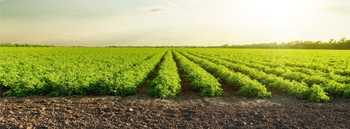 Reps. Stephens and Scherer Offer Relief for Ohio Farmers